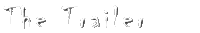 The Trailer